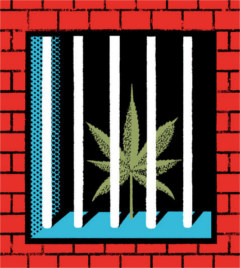 Cannabis leaf behind bars
